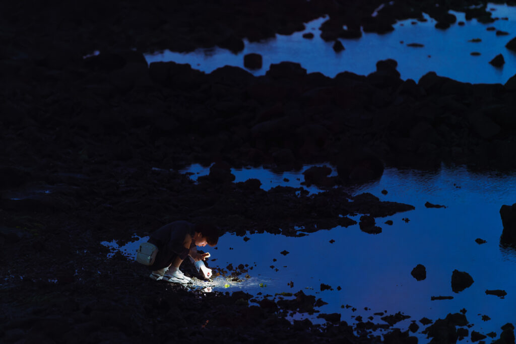 Jeju — photograph 4