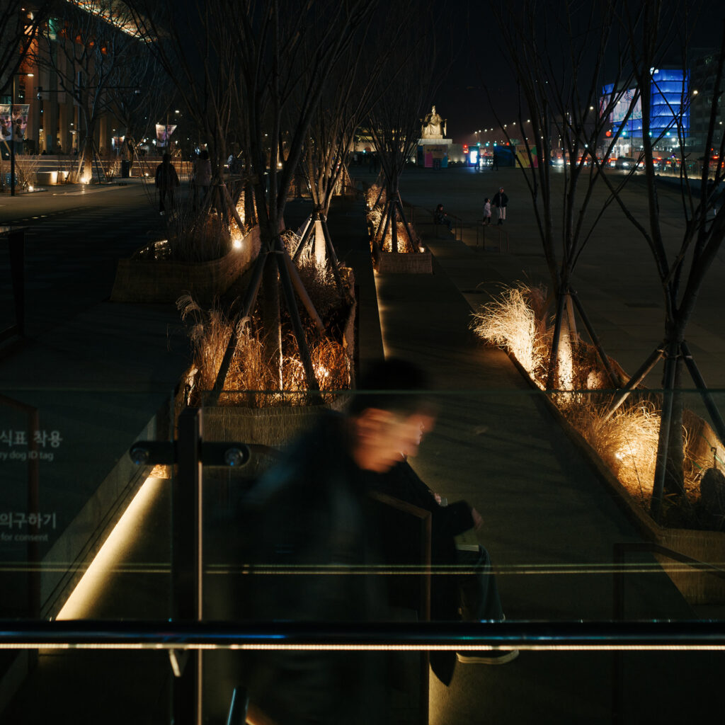 Passing — photograph 3
