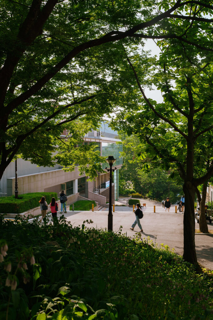 Walking Walking — photograph 1