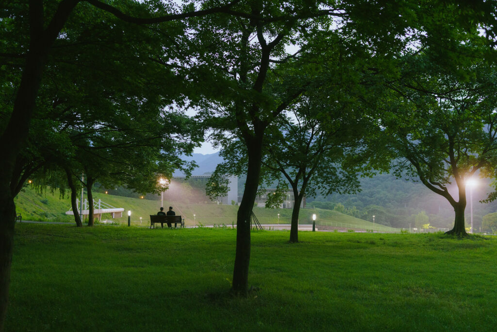 mist — photograph 1