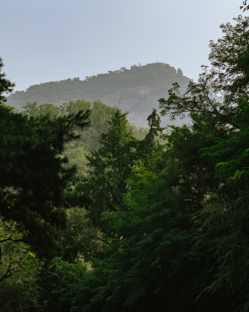In & Out — photograph 1