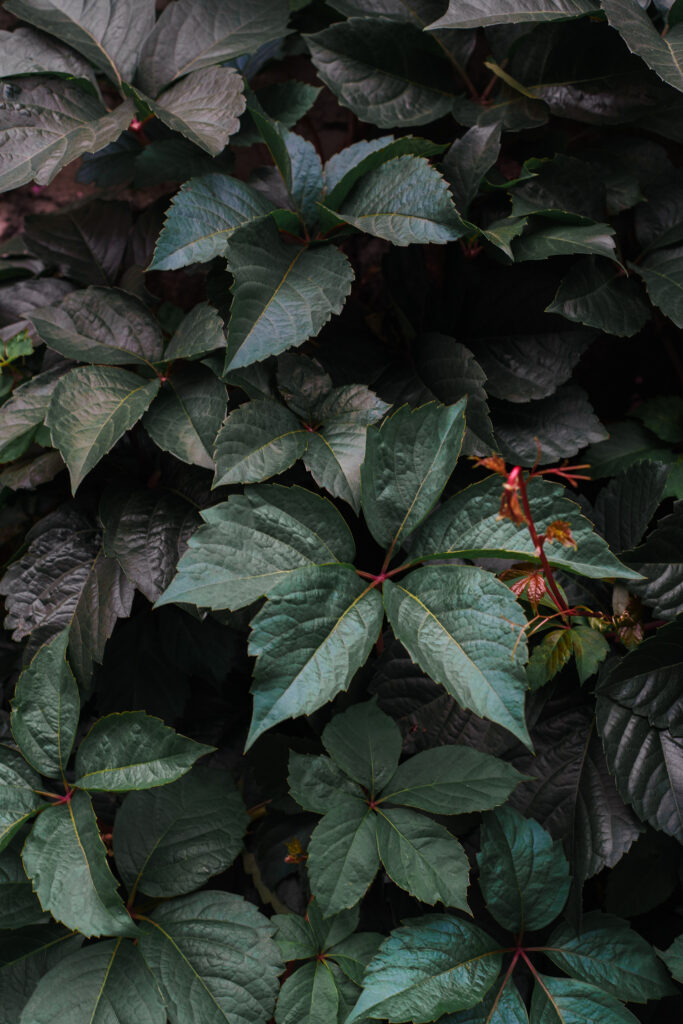 Less — photograph 1