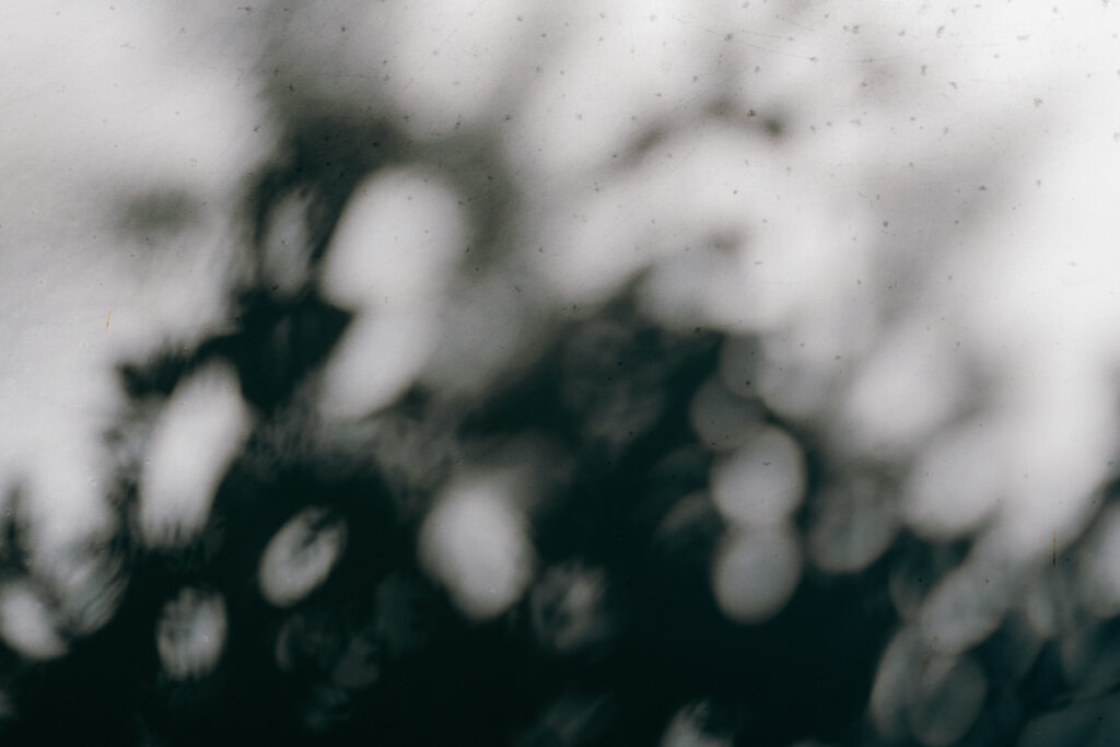 Coming Through — photograph 1