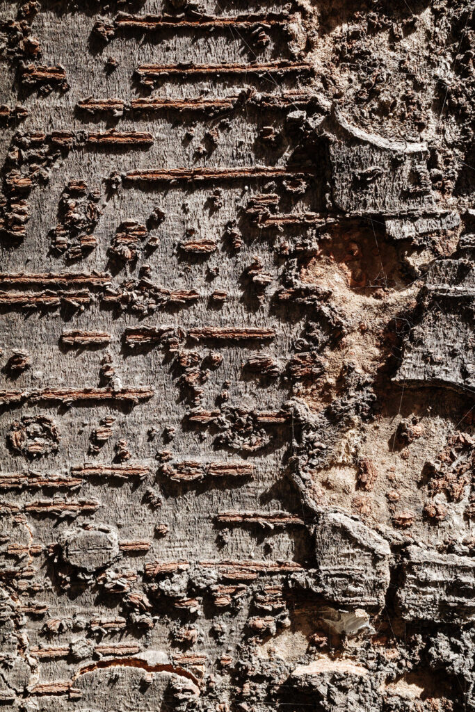 Letter — photograph 1