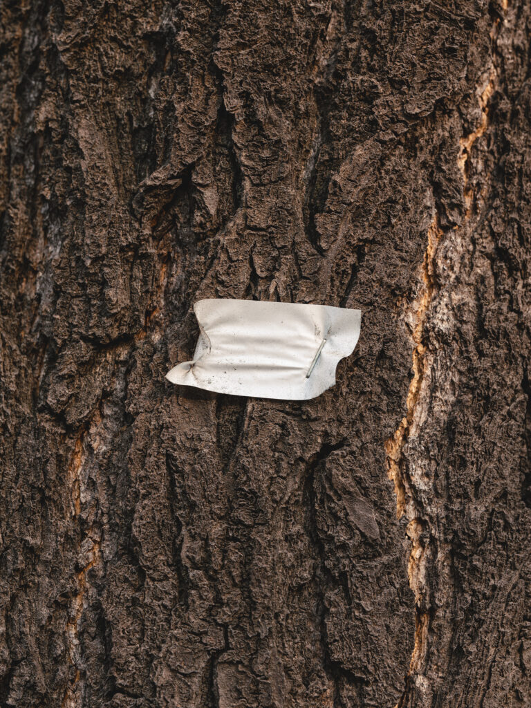 Note — photograph 1