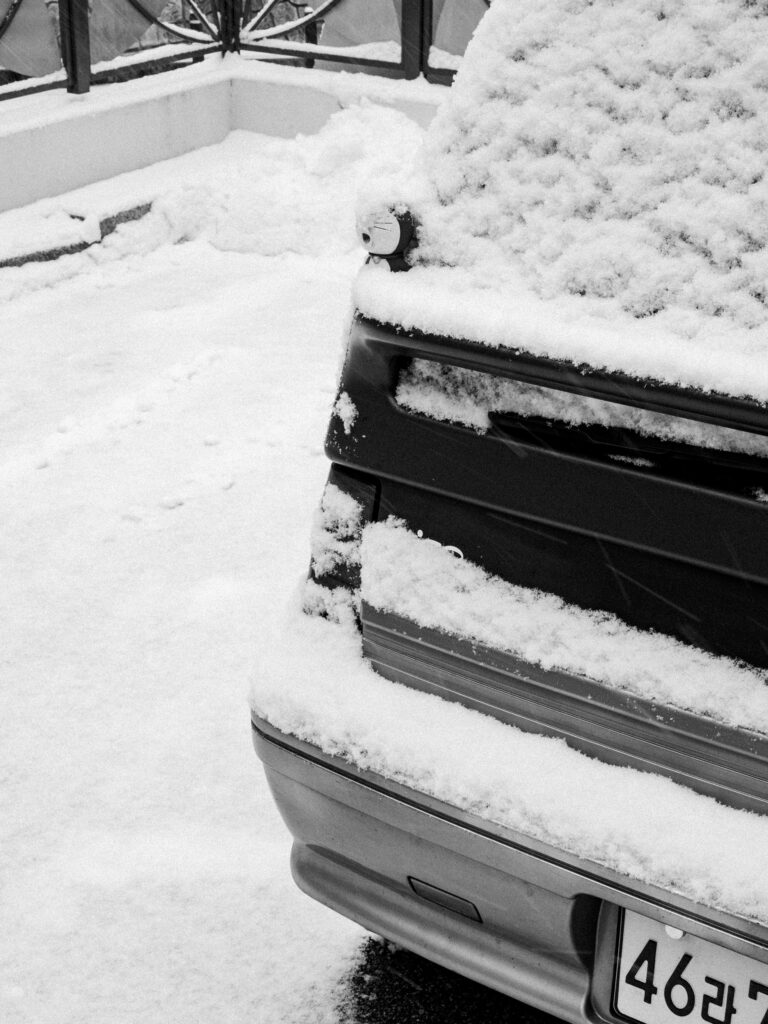 Black and Snow — photograph 2