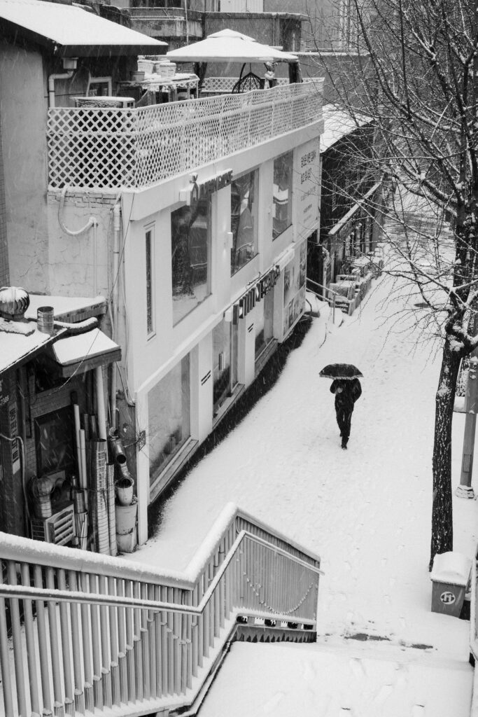 Black and Snow — photograph 3