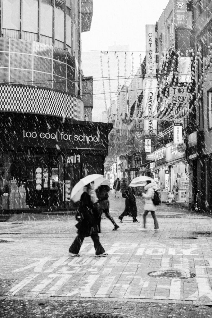 Black and Snow — photograph 4