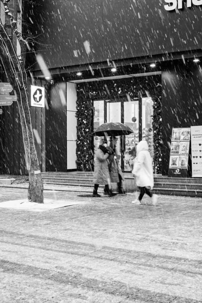 Black and Snow — photograph 5