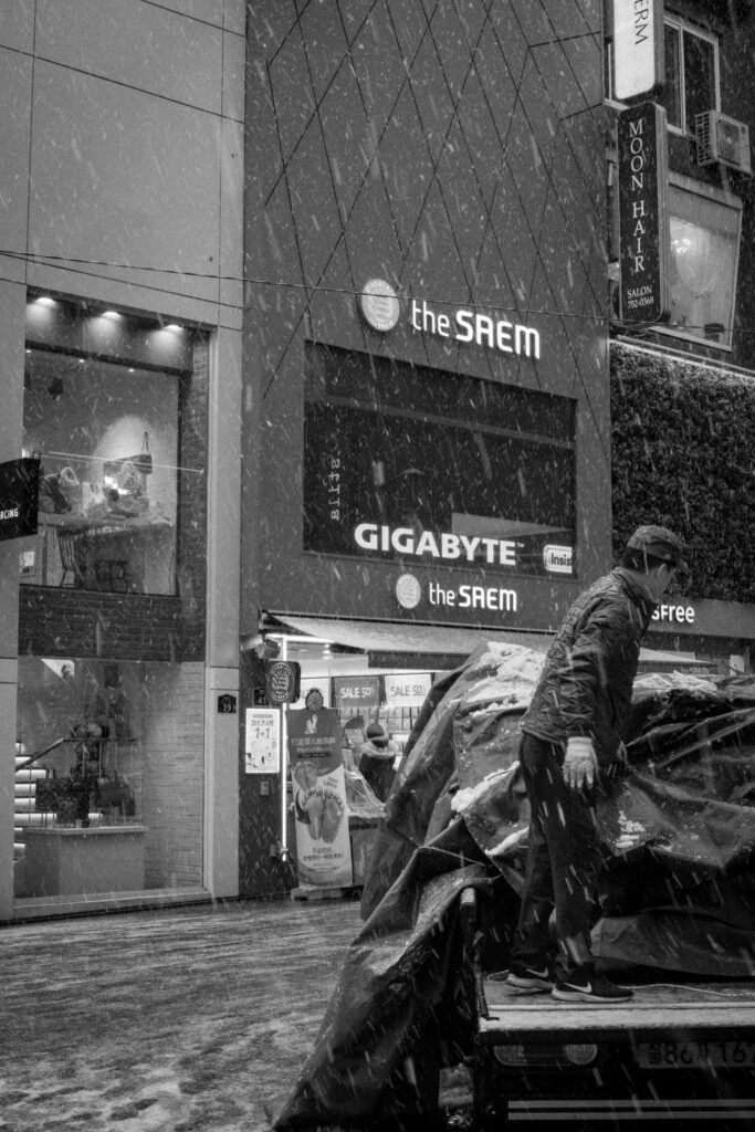 Black and Snow — photograph 7