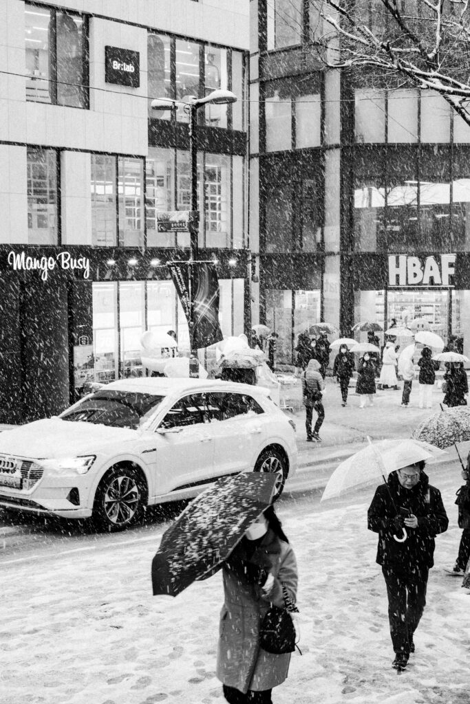 Black and Snow — photograph 9