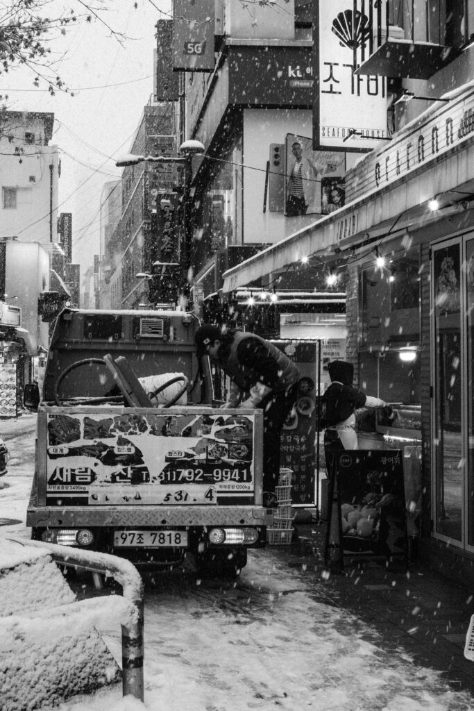 Black and Snow — photograph 10