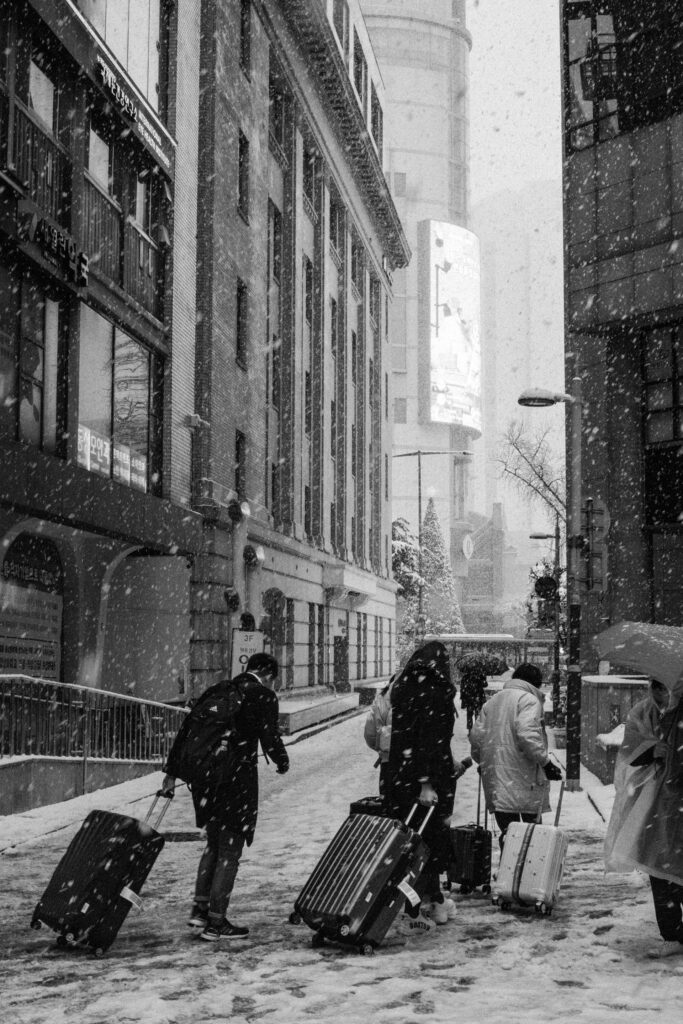 Black and Snow — photograph 11