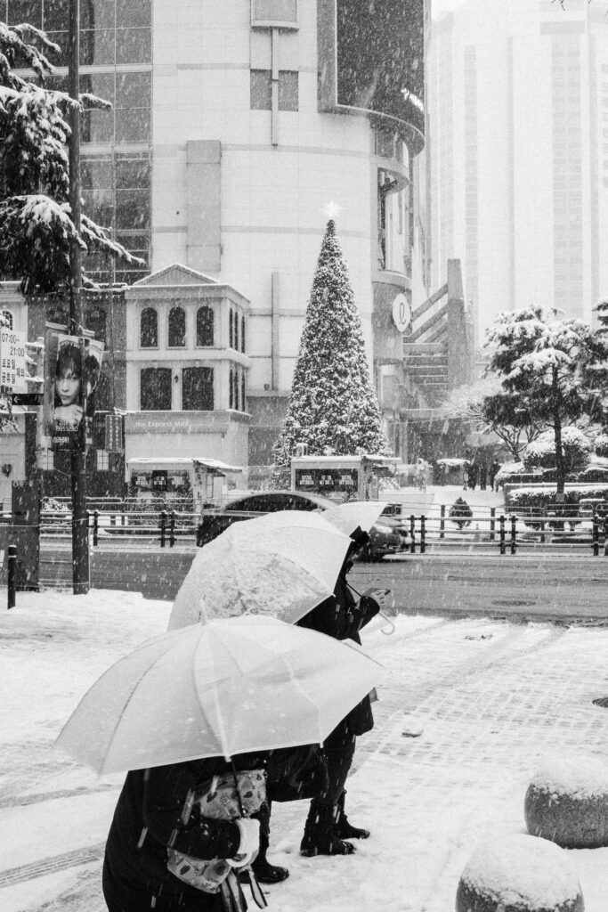 Black and Snow — photograph 12