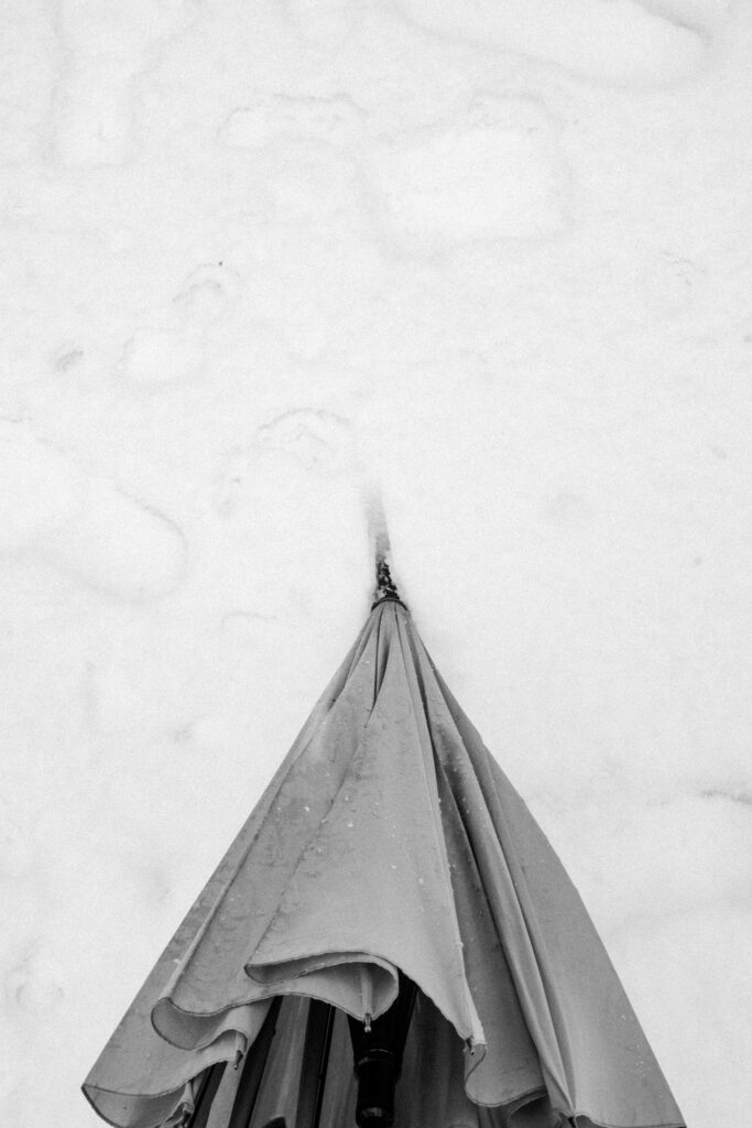 Black and Snow — photograph 15