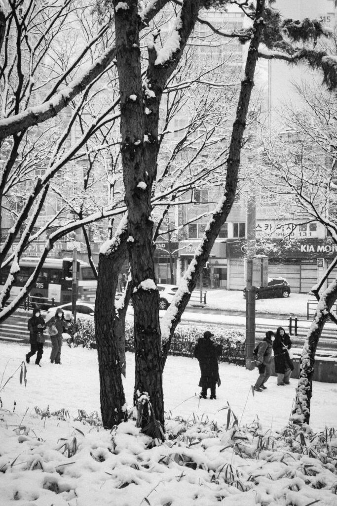 Black and Snow — photograph 19