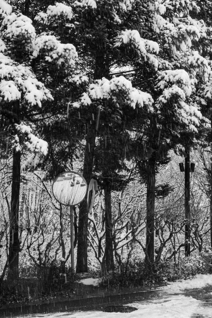 Black and Snow — photograph 20