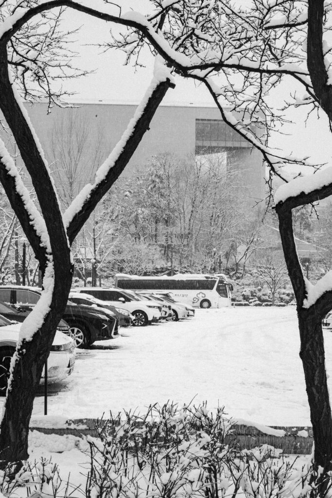 Black and Snow — photograph 22