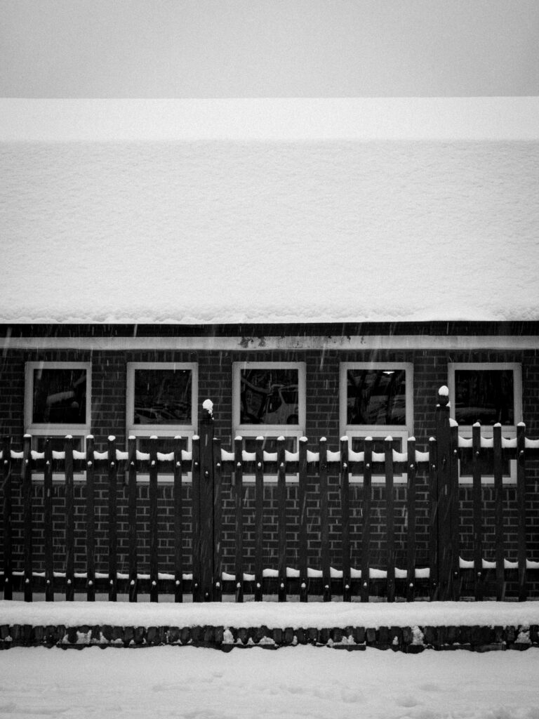 Black and Snow — photograph 23