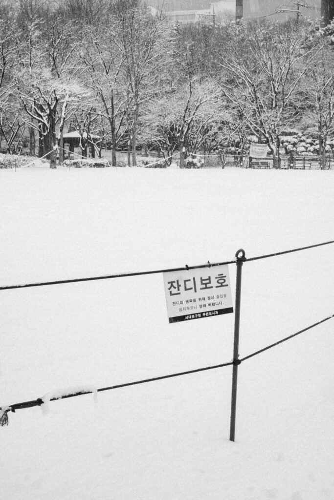 Black and Snow — photograph 24