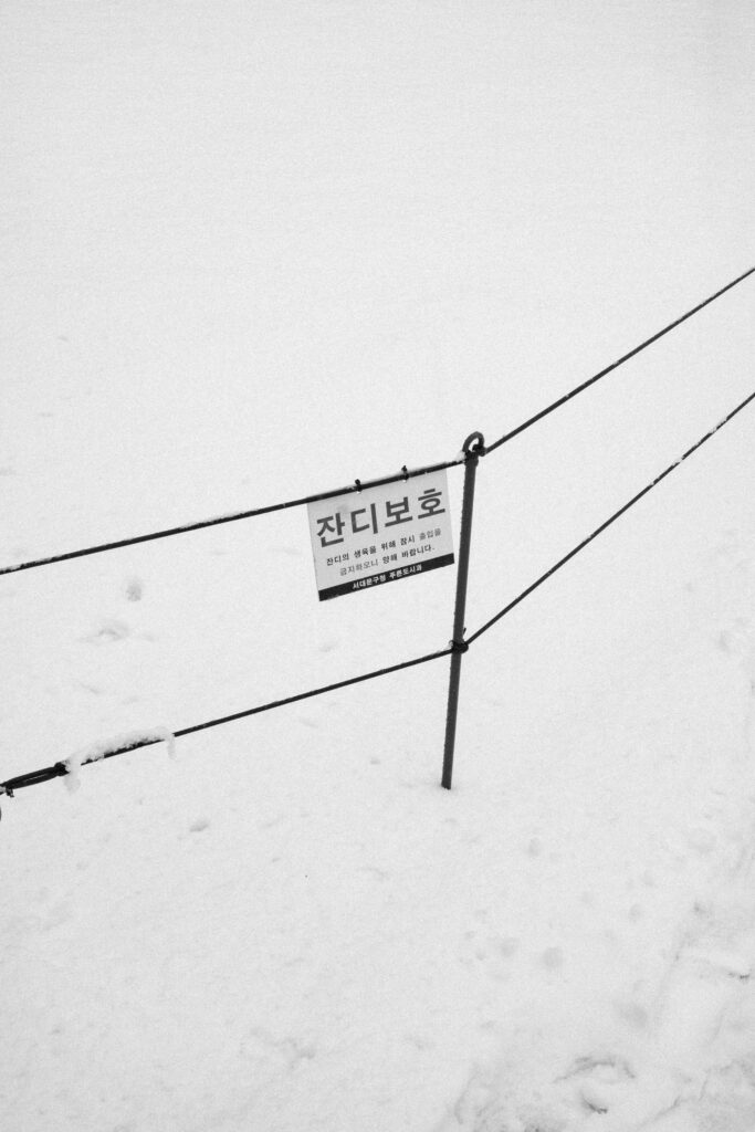 Black and Snow — photograph 25