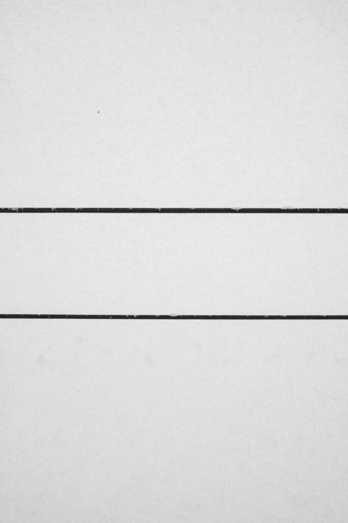 Black and Snow — photograph 26