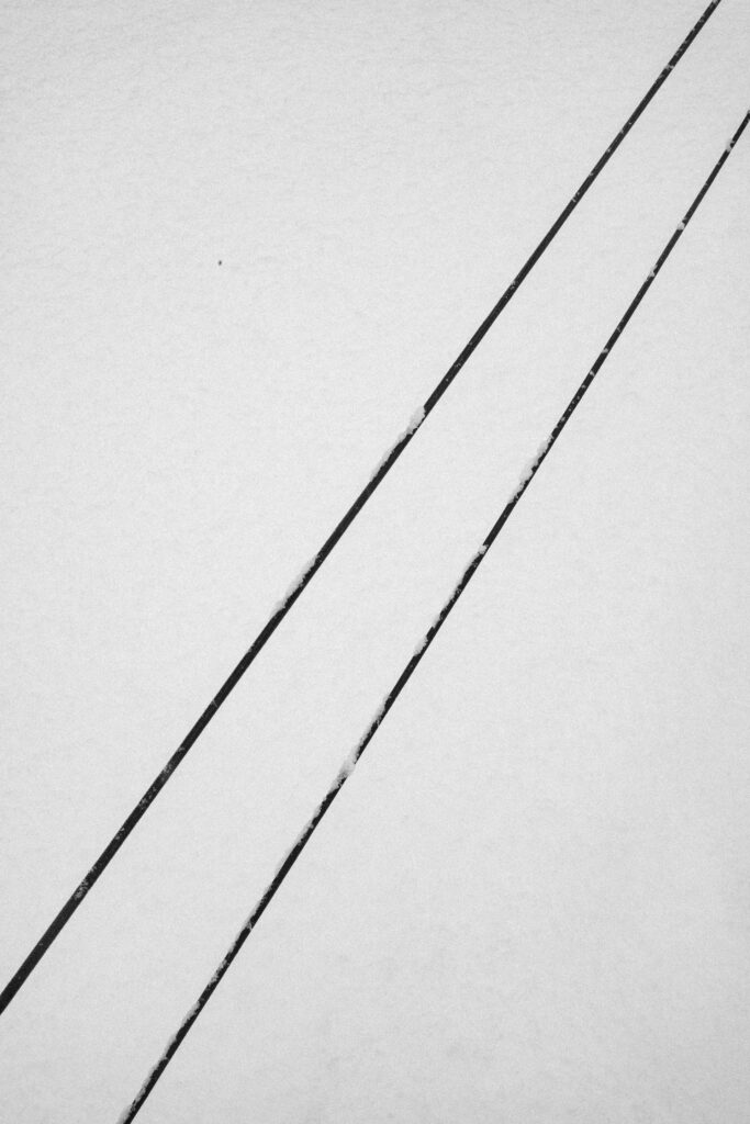 Black and Snow — photograph 27
