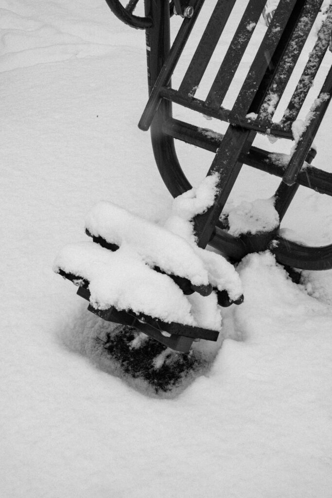 Black and Snow — photograph 28