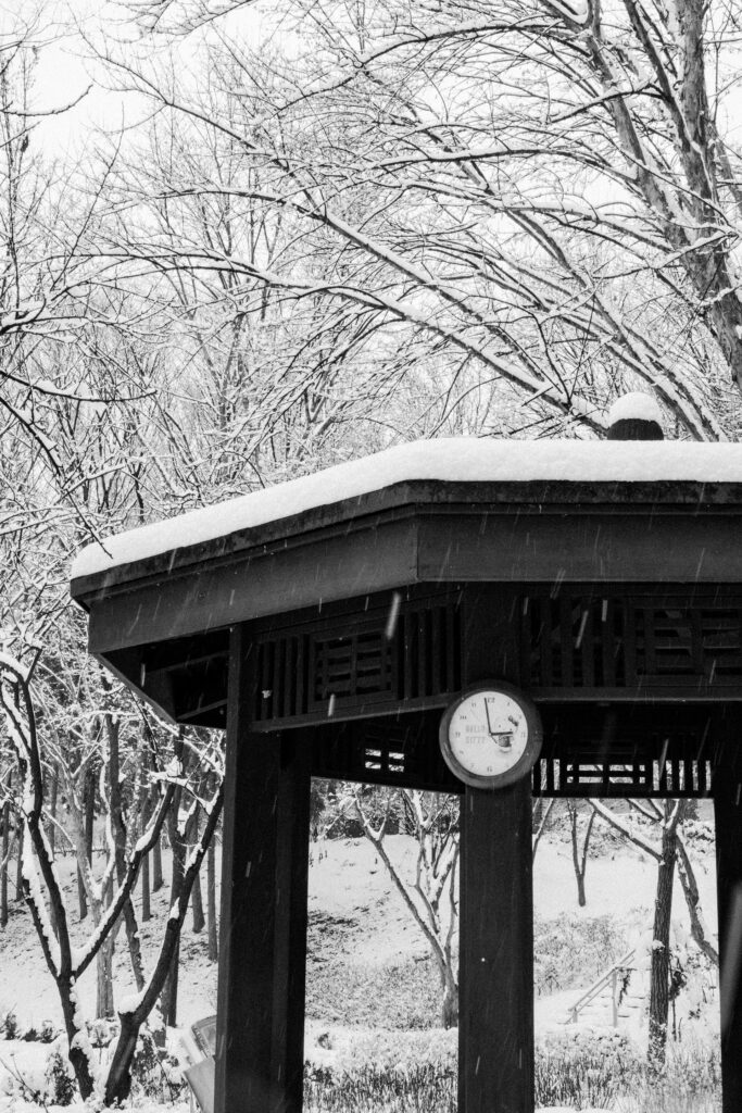 Black and Snow — photograph 29