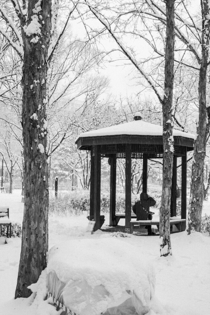 Black and Snow — photograph 30