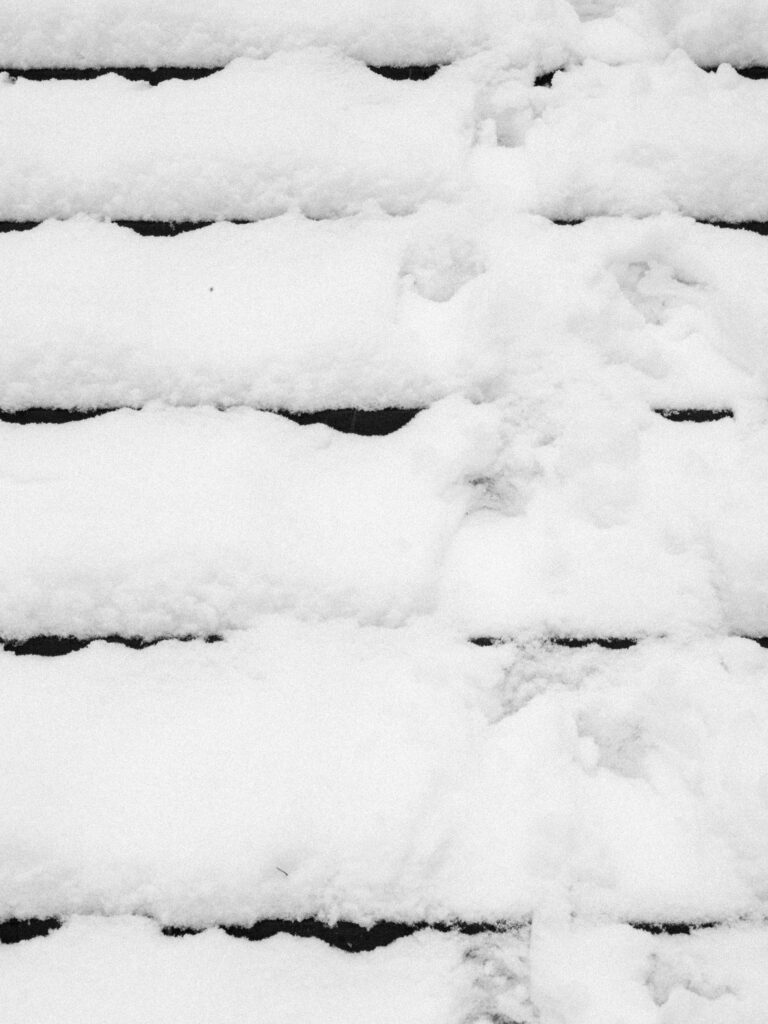 Black and Snow — photograph 32