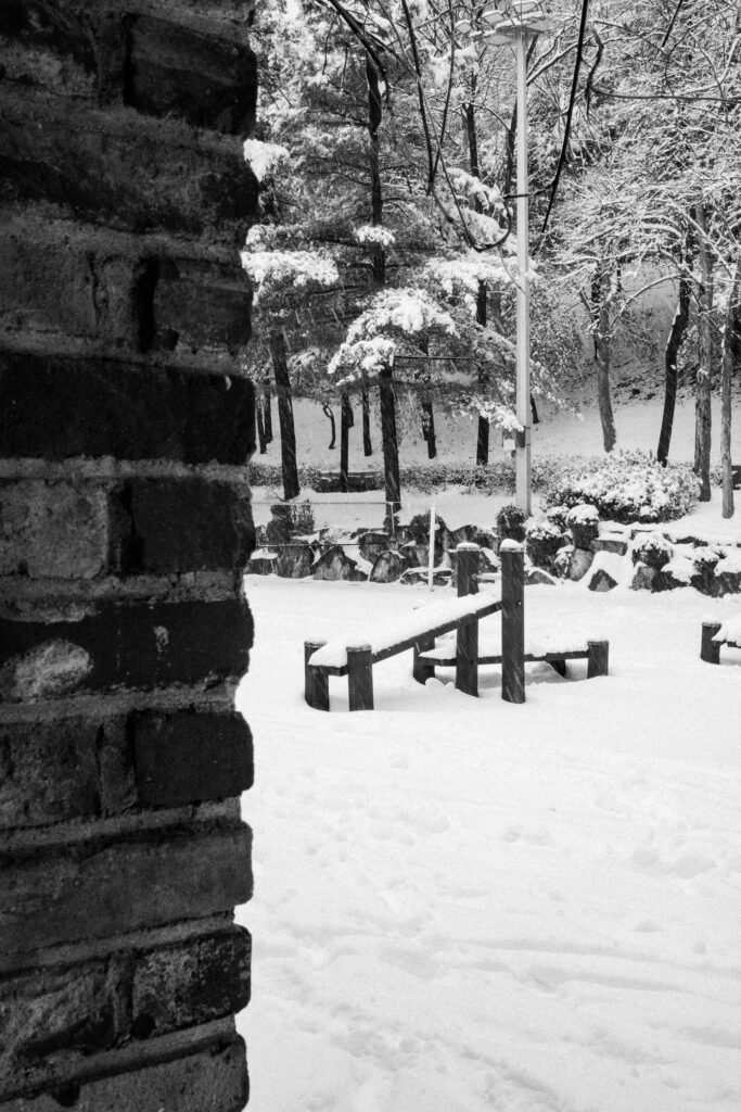 Black and Snow — photograph 35