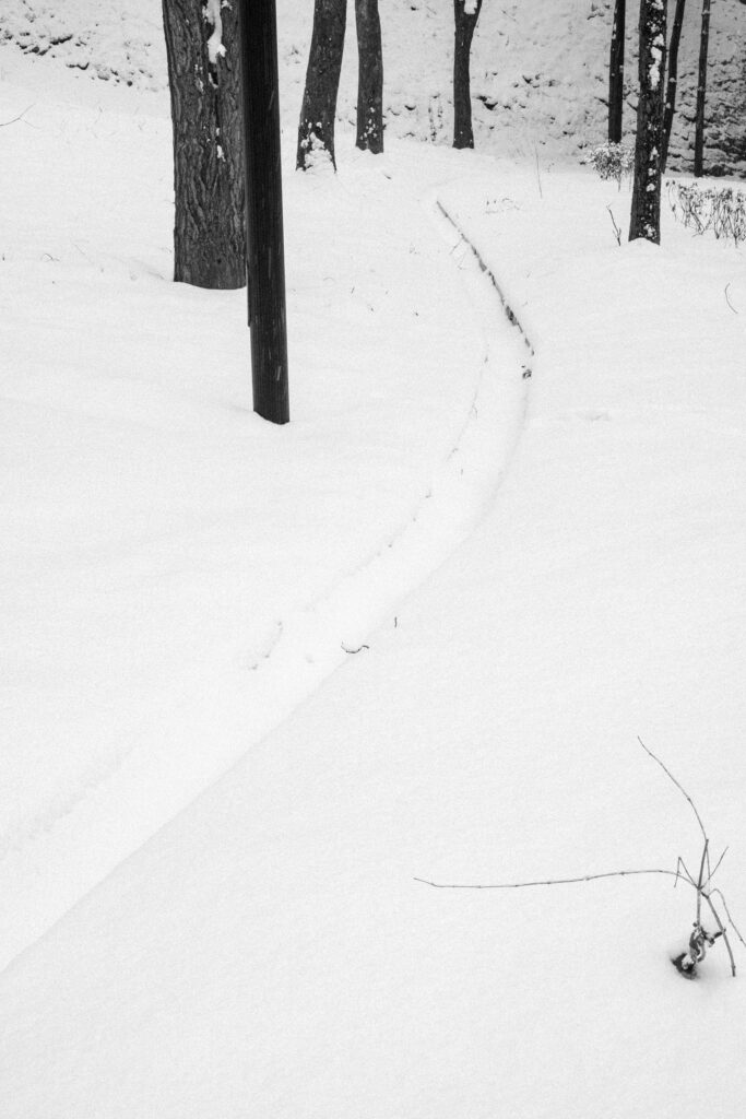 Black and Snow — photograph 37