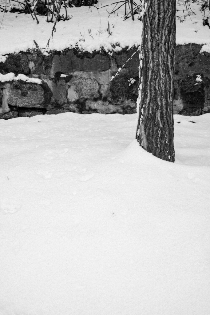 Black and Snow — photograph 38