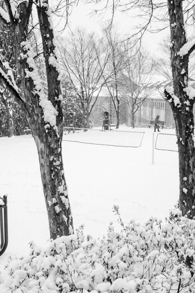 Black and Snow — photograph 39