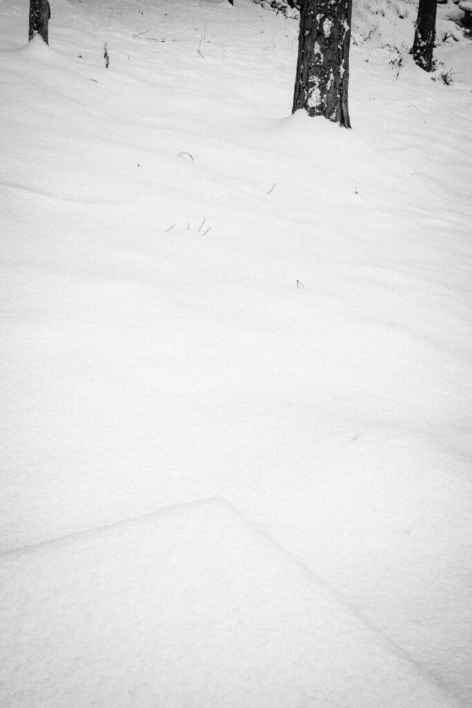 Black and Snow — photograph 40