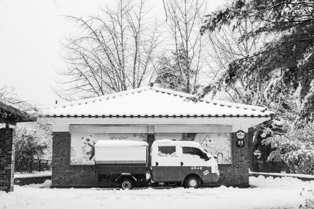 Black and Snow — photograph 43
