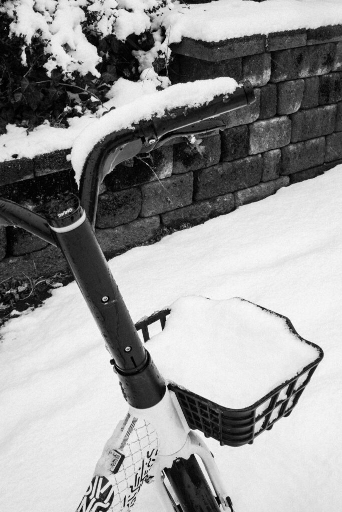 Black and Snow — photograph 44