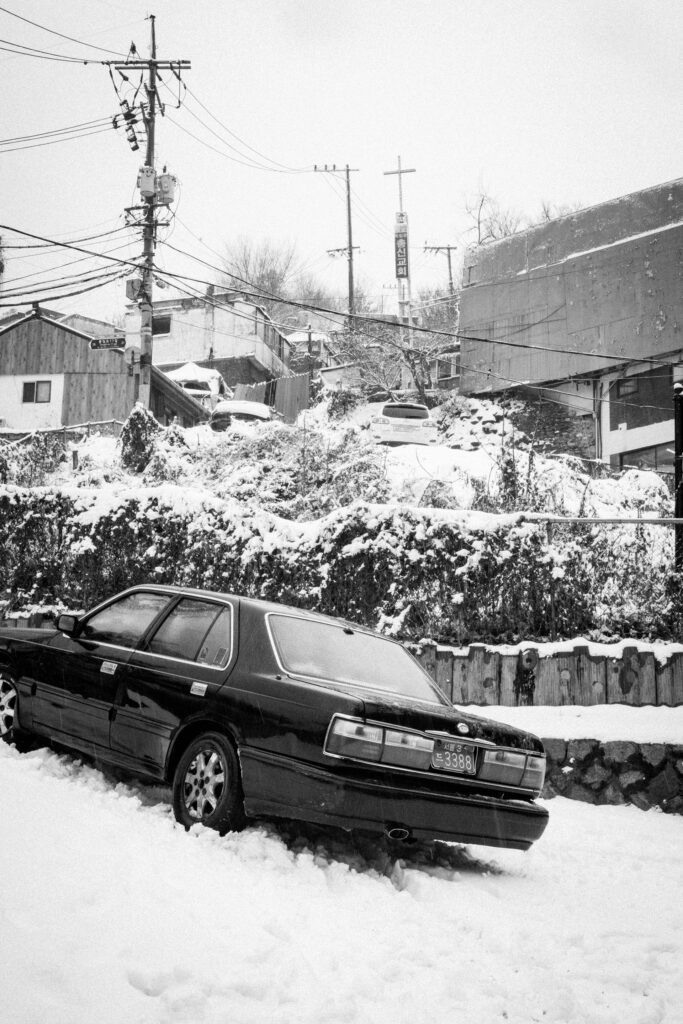 Black and Snow — photograph 45