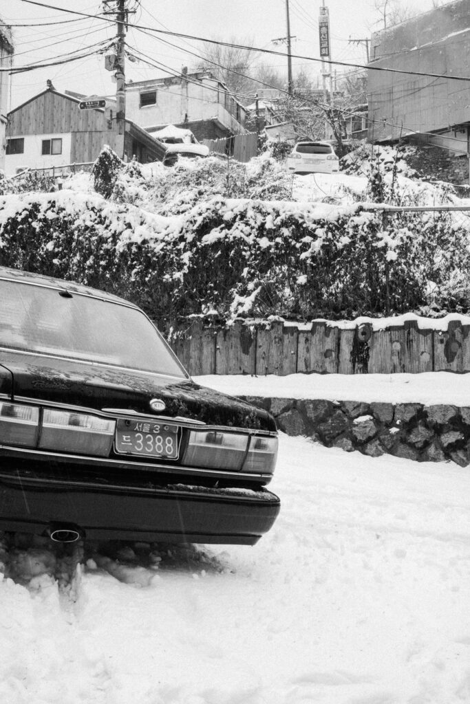 Black and Snow — photograph 46