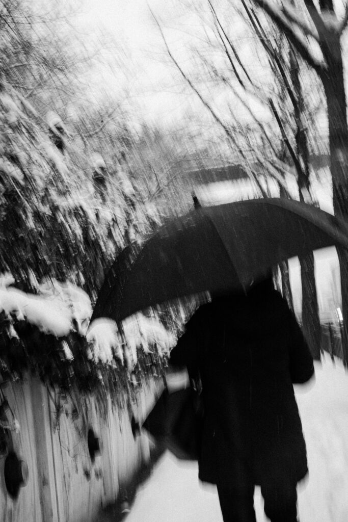 Black and Snow — photograph 47