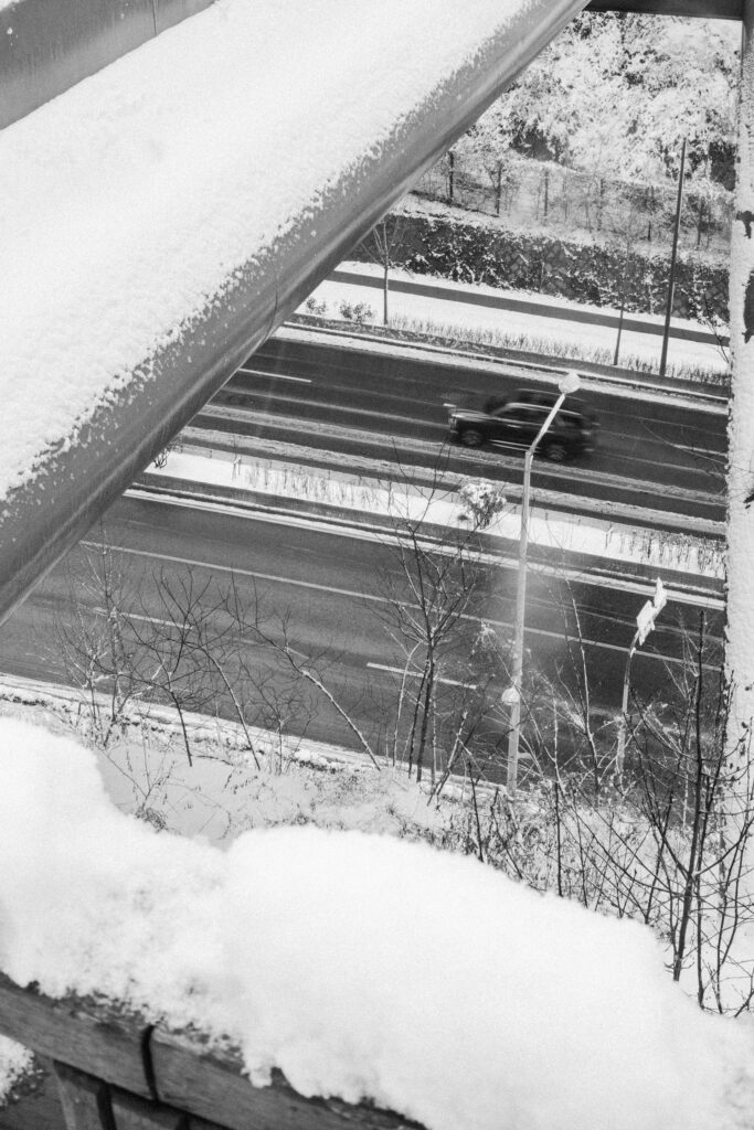 Black and Snow — photograph 48