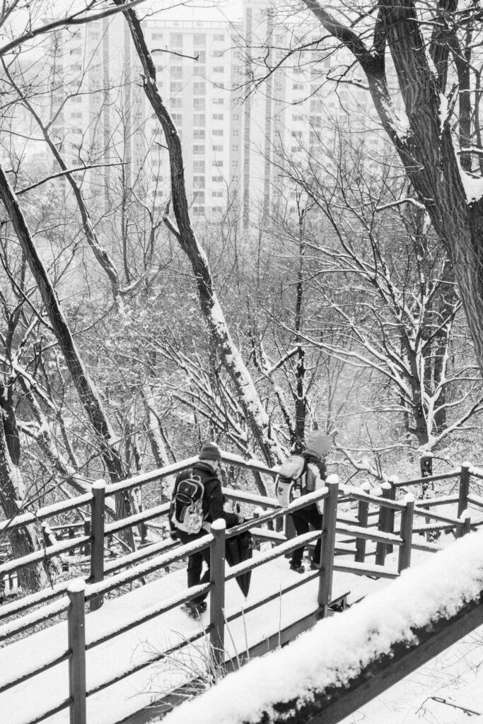 Black and Snow — photograph 49