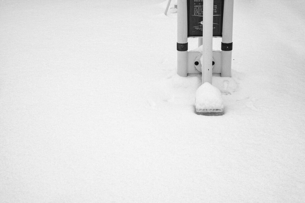 Black and Snow — photograph 51