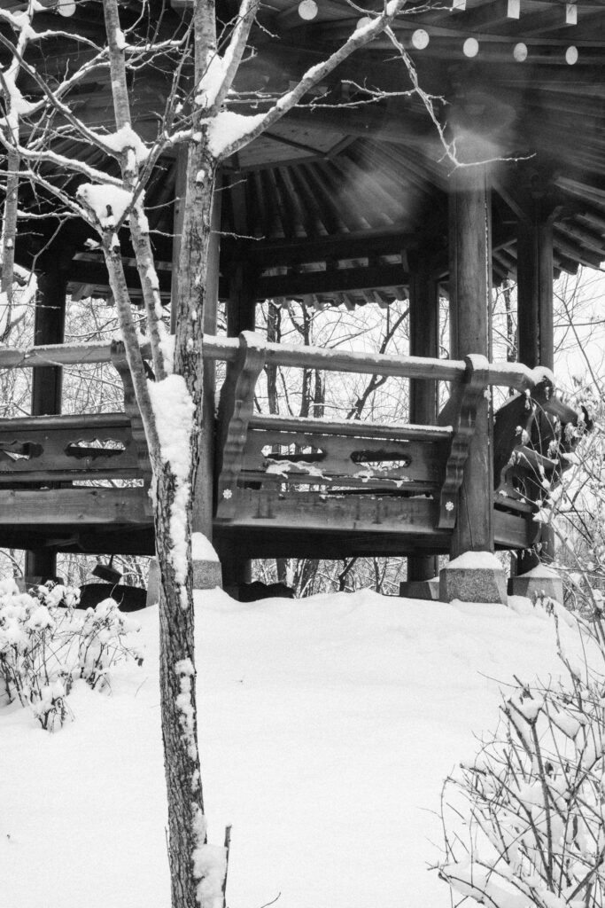 Black and Snow — photograph 52