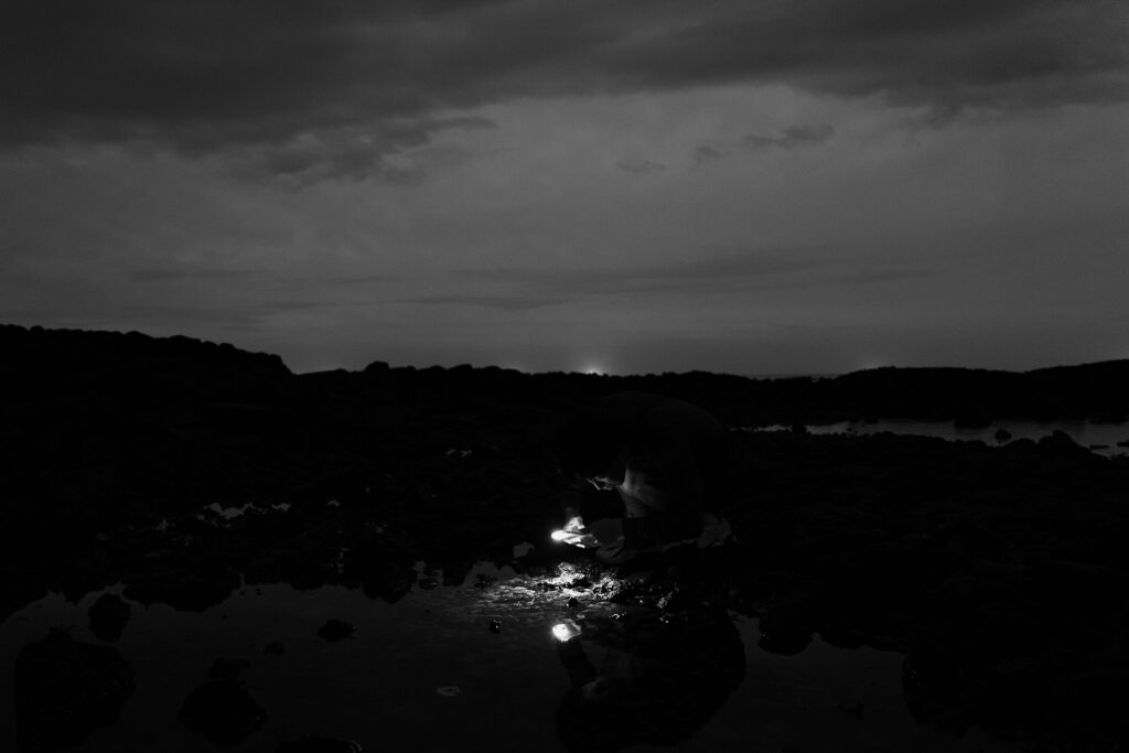 Searching — photograph 1